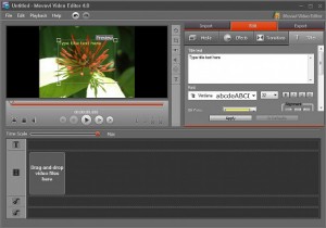 Movavi Video Editor